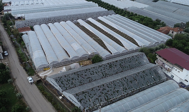 Antalya naylon kent oldu