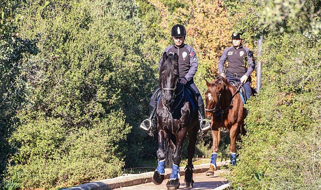 Antalya'nın orman ve sahilleri Börü ve Vinner'a emanet