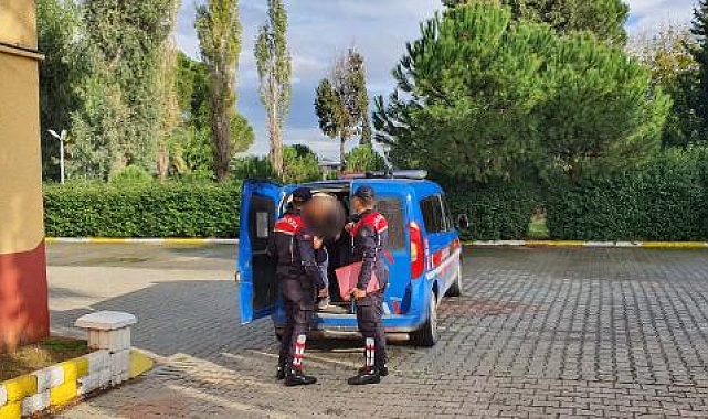 Aydın'da kaçak kazıya suçüstü: 1 gözaltı