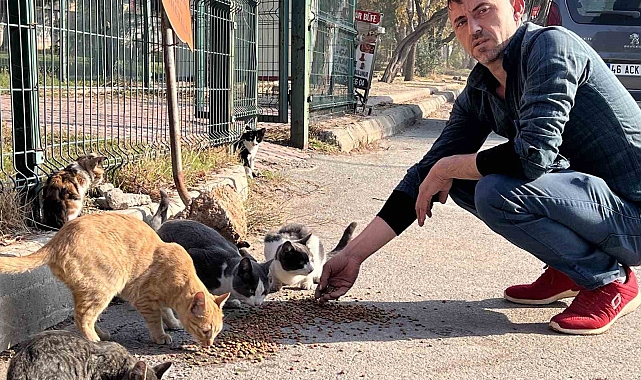 'Enkaz' isimli kedileri enkaz bölgesinde besliyor