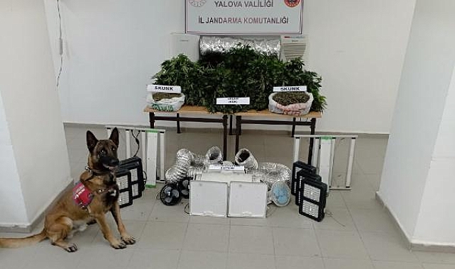 Evini uyuşturucu imalathanesine çeviren şüpheliye gözaltı