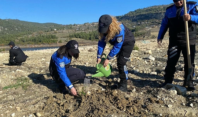 Fidanlar toprakla buluşuyor