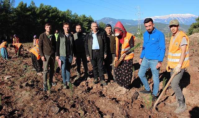 Kumluca'ya ikinci bal ormanı