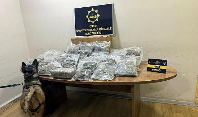 Manavda, sebze ve meyve kasalarının altına gizlenen 15 kilo esrarı 'Larissa' buldu