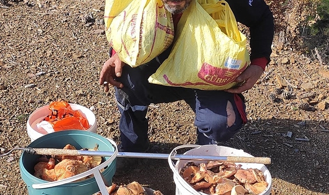 Mevsiminde topladığı mantarları satarak ayda yaklaşık 90 bin lira kazanıyor