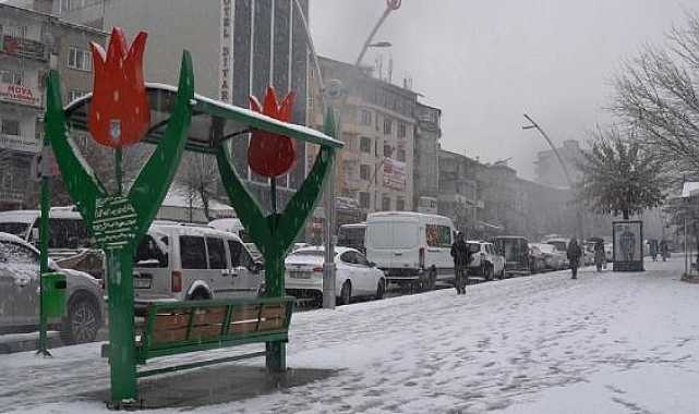 Muş'ta kar; 10 yerleşim yolu kapandı