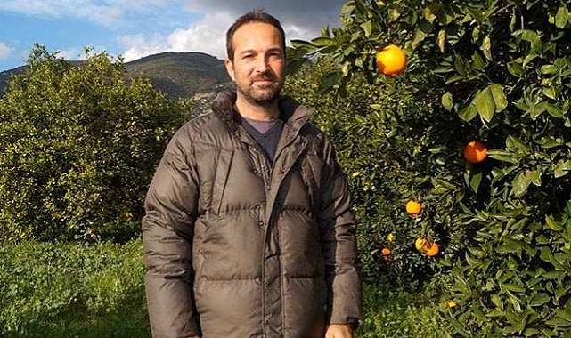 Narenciye üreticileri ağaçları söküyor
