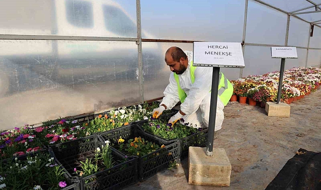 Toroslar Belediyesinden, Cumhuriyetin 100. yılına özel 100 bin bitki üretimi