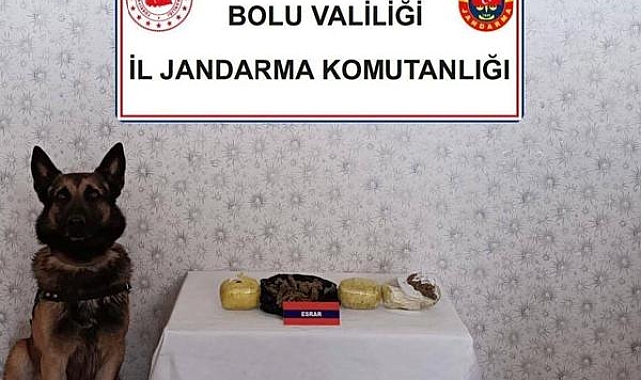Bebek maması kutusunda esrar ele geçirildi