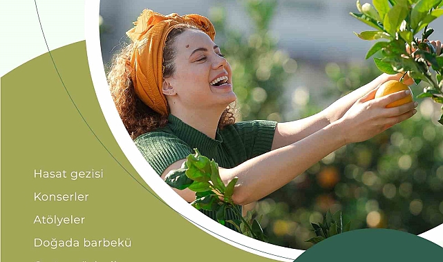 BN Hotel, Mandalina Festivaline ev sahipliği yapacak