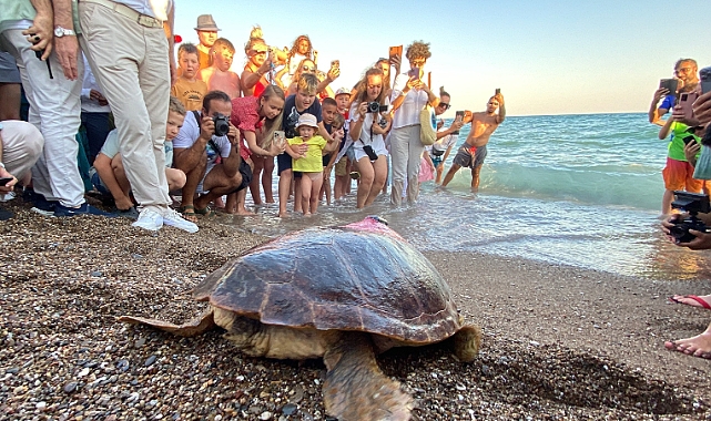 Caretta Caretta ‘Lara Barış’ 1,5 yılda 4 bin kilometre yol kat etti