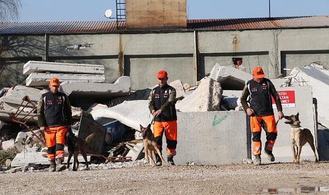 DAK Taburu'nun özel köpekleri, enkazda 10 metre derinlikte canlı bulabiliyor