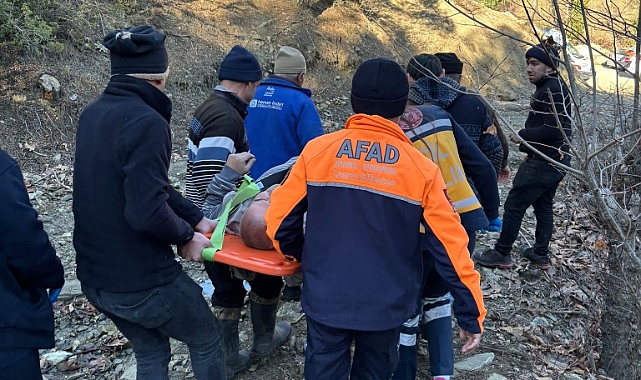 Doğa gezintisinde ki adamı AFAD kurtardı