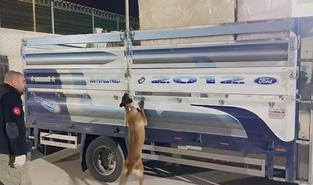 Eşya yüklü kamyonetteki buzdolabından 70 kilo skunk çıktı