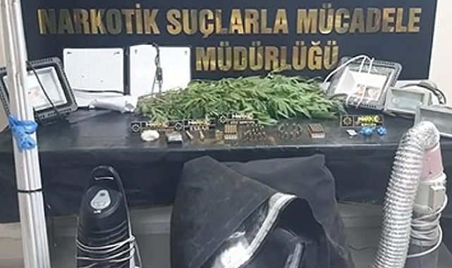 Evin bir odasını seraya çevirip Hint keneviri yetiştiren 2 kişi tutuklandı