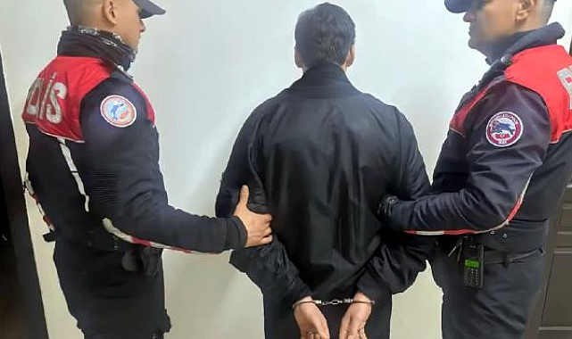 Kedilere eziyet eden ve örgüt propagandası yapan 'C31K' topluluğu üyesi 5 kişi tutuklandı