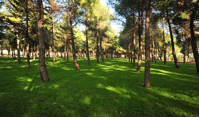 Keşfedilmeyi bekleyen yer: Dokuma Park