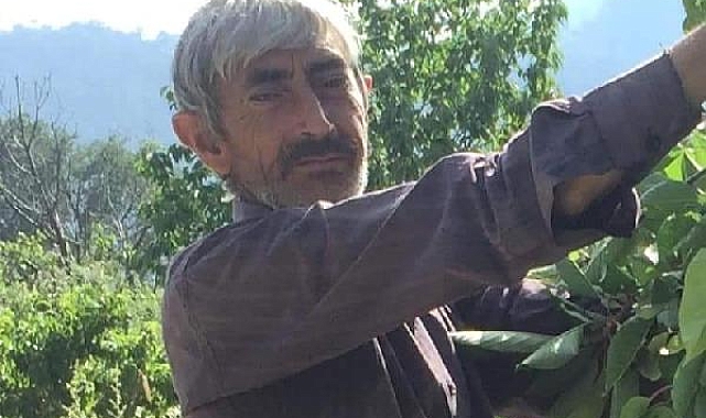 Kestiği ağacın altında kalan çiftçi öldü