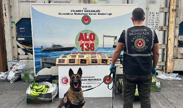 Muz dolu konteynerde 77 kilo kokain ele geçirildi; 2 gözaltı