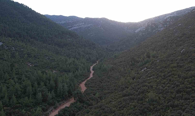 OYAK Çimento, Antalya'daki üretim sahasını yeniden doğaya kazandırıyor