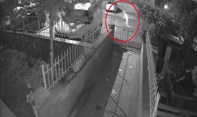 Park halindeki otomobilde oturan baba ve oğluna silahlı saldırı