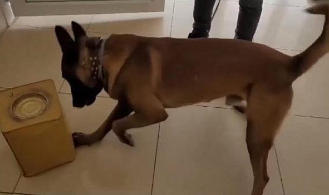 Peynir tenekelerinden 9 kilo 605 gram esrar çıktı