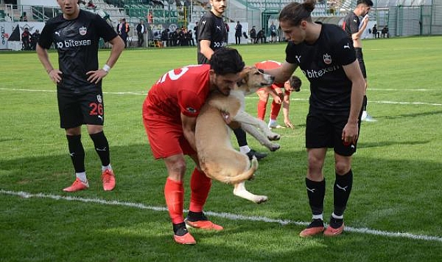 Sahaya giren köpeği futbolcular çıkardı
