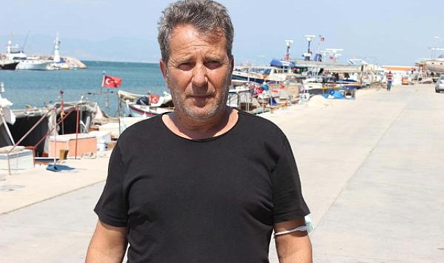 Sıcaklık artınca balon balığı da rota değiştirdi