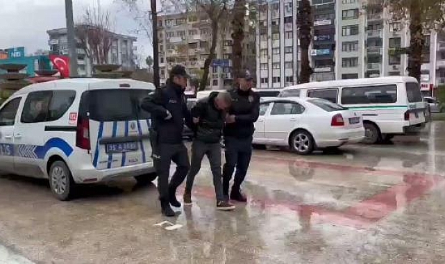 Sokaktan topladığı 4 kediyi öldürüp, apartmanın bahçesine atmış