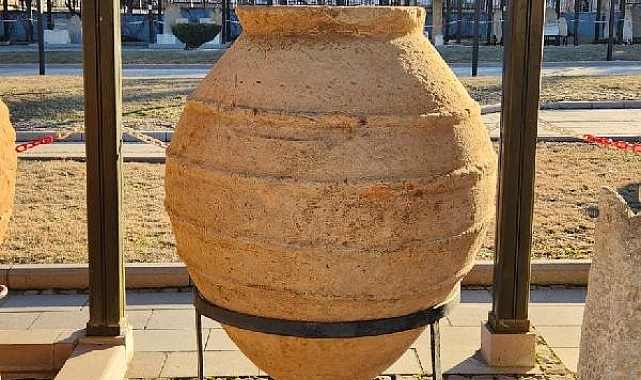 Tarlada bulundu müzede sergilendi