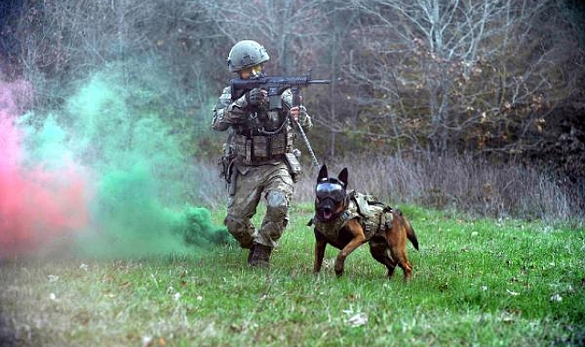 TSK'nın 'kahraman köpekleri', önce parkurda sonra arazide eğitiliyor