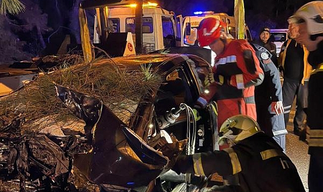Ağaca çarpan otomobilin sürücüsü astsubay öldü