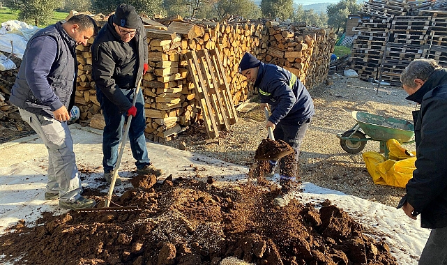 Atalık tohumlar fideye dönüşüyor
