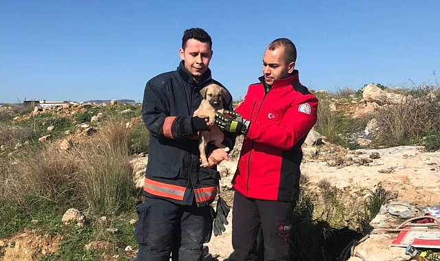 Definecilerin kazdığı kuyuya düşen köpek itfaiye ekiplerince kurtarıldı