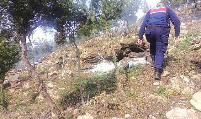 Hazine arazisindeki ağaçları yakan 20 şüpheli gözaltında