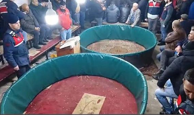 Kanatlı Hayvanları Sevenler ve Sergileyenler Derneği'nde horoz dövüşüne suçüstü