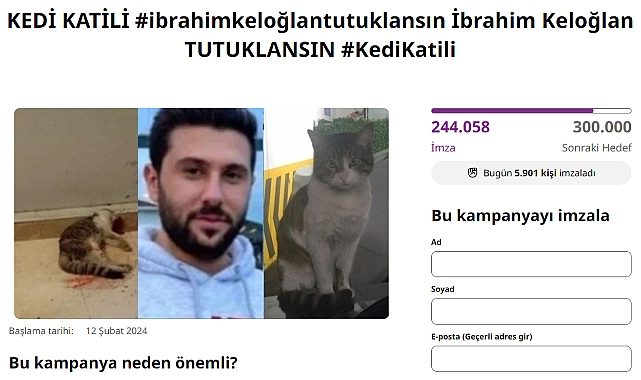 Kedi katilinin tutuklanması için 250 bin imza