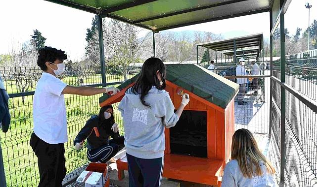 Konyaaltı'nda sokak hayvanlarına öğrenci eli değdi