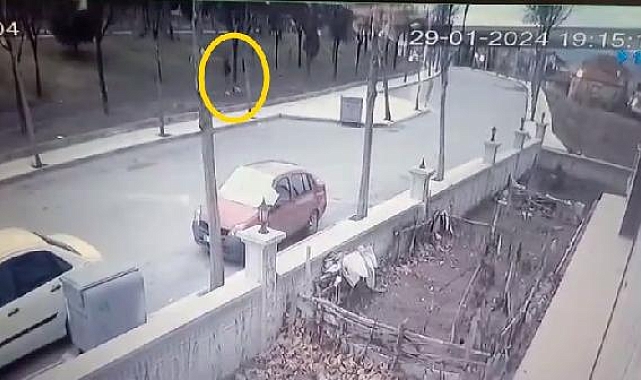 Köpeğini gezdirirken, tasmasız 'Rottweiler'ın saldırısına uğradı