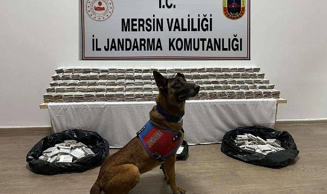 Mersin'de 61 bin 700 kaçak makaron ele geçirildi