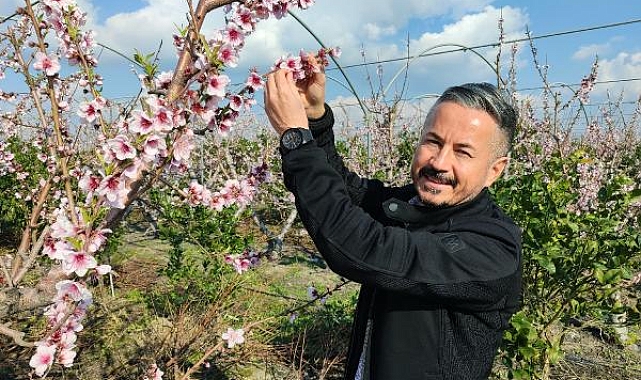 Mersin'de yalancı bahara aldanan ağaçlar çiçek açtı