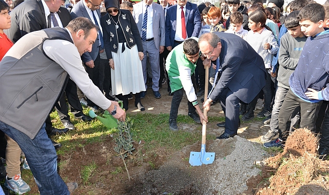 Okul bahçelerine 600 zeytin fidanı dikildi