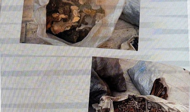 Selçuklu sultanlarının kemikleri incelendi; hastalıkları ve ölüm nedenleri belirlendi