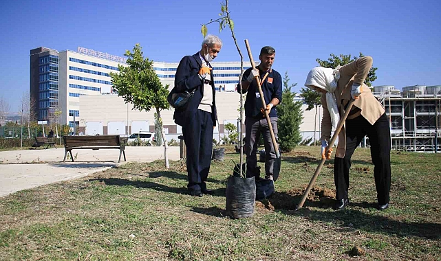 Yaşlılar tedavi gördükleri hastanenin bahçesine fidan dikti