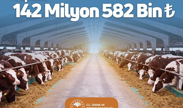 142 milyon 582 bin TL'lik 'desteklemeler hesaba yattı