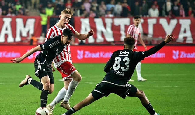 Akrebin rakibi kartal