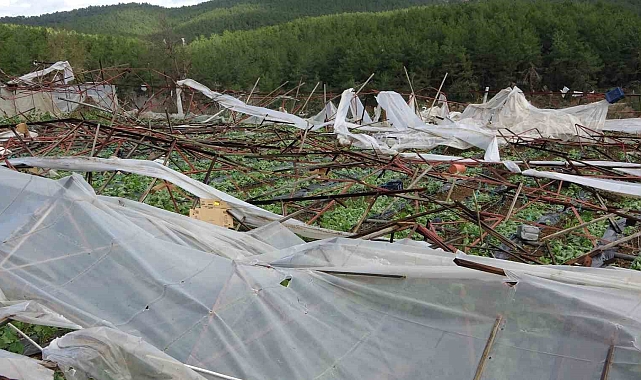 Alanya'da hortum 250 dönümden fazla seraya zarar verdi