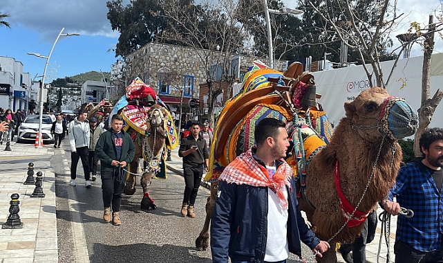 Bodrum’da develer meydana indi, turistler ilgi gösterdi
