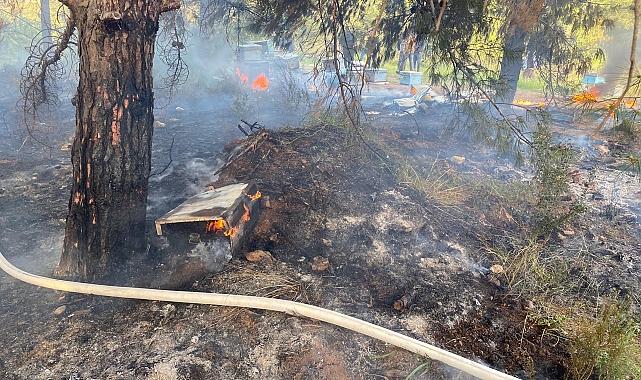 Datça'da çıkan orman yangını büyümeden söndürüldü