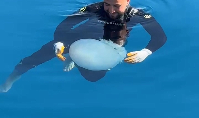 Denizanasıyla dans